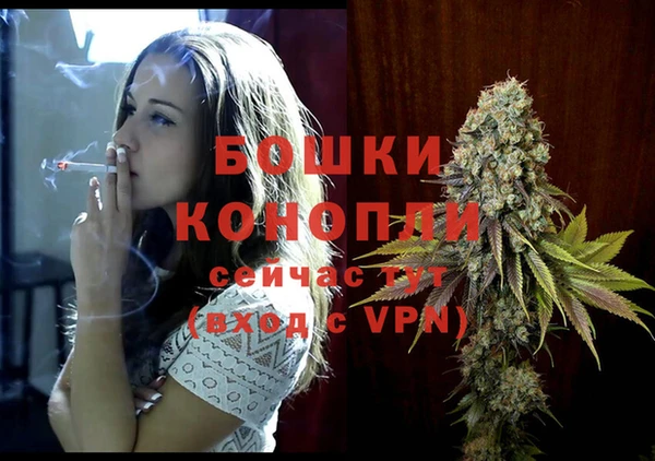 прущие грибы Навашино
