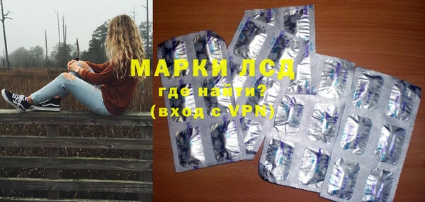 шишки Наволоки