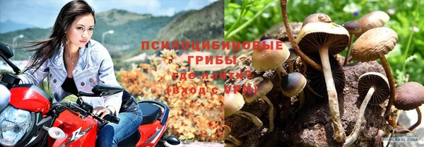 шишки Наволоки