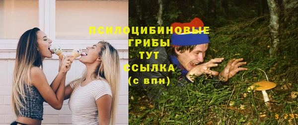 шишки Наволоки
