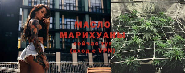 молекула духа Надым