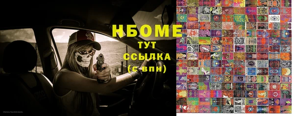 прущие грибы Навашино