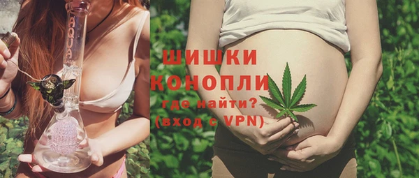 шишки Наволоки