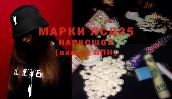 прущие грибы Навашино
